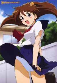 BUY NEW narue no sekai - 1172 Premium Anime Print Poster